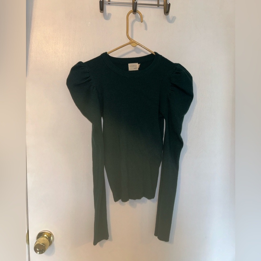 Long Puffy Sleeved Top